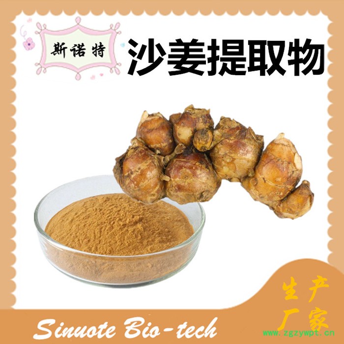 斯诺特 沙姜提取物 沙姜粉 厂家供应 包邮图4