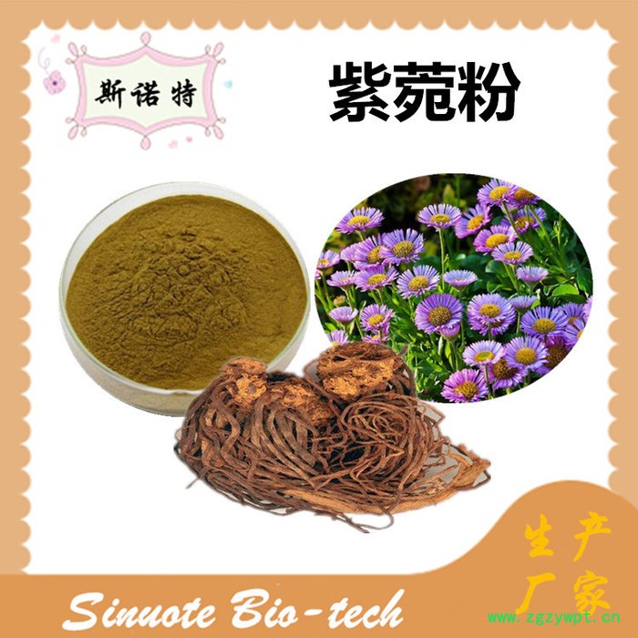 斯诺特 紫菀提取物 紫菀粉 厂家供应 包邮图8