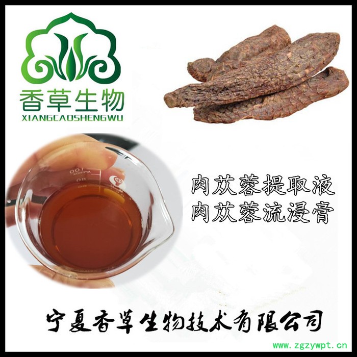 肉苁蓉提取液厂家报价 供应肉苁蓉浓缩浸膏图2