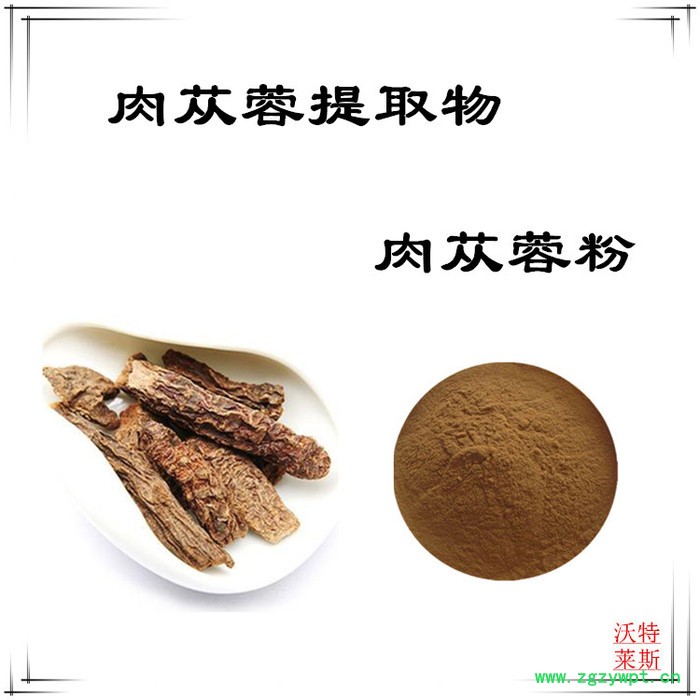 沃特莱斯 肉苁蓉提取物10:1  速溶肉苁蓉粉图3