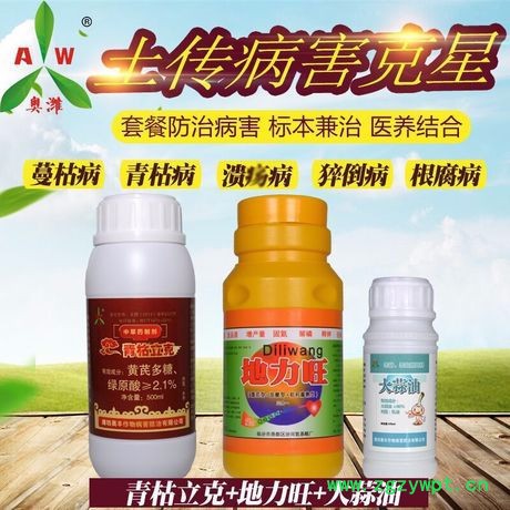 肉苁蓉生长特性及腐烂病防治方案 肉苁蓉腐烂病图8