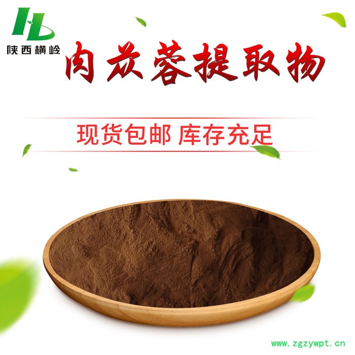 肉苁蓉提取物 松果菊苷 肉苁蓉浓缩粉 横岭厂家现货图3