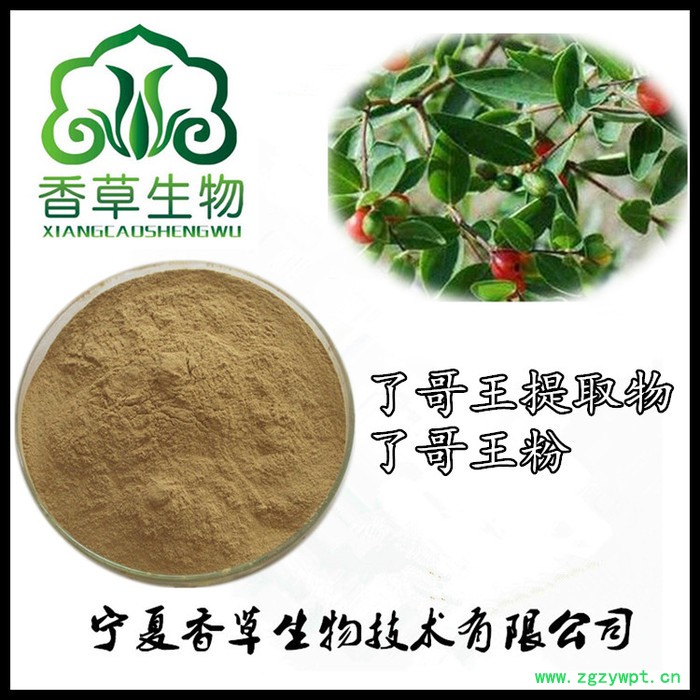 了哥王提取物纯粉 香草生物批发了哥王粉120目 了哥王浸膏粉水溶性好图3
