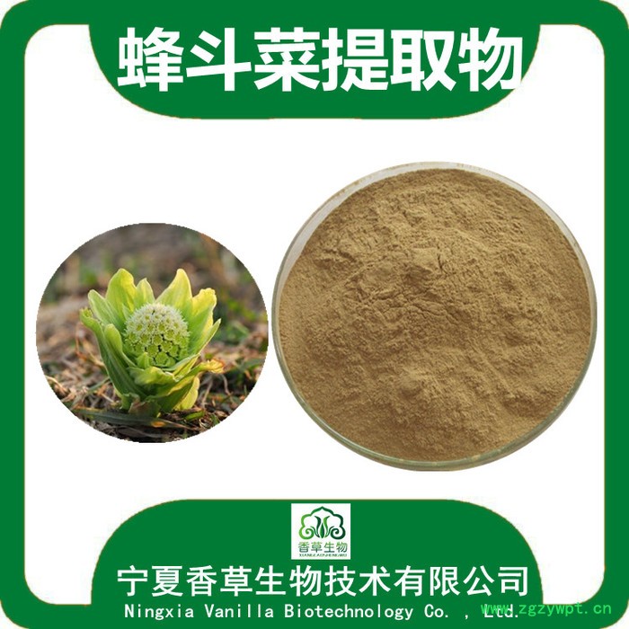 蜂斗菜提取物 宁夏厂家 蜂斗菜粉120目 蜂斗菜浓缩粉图6