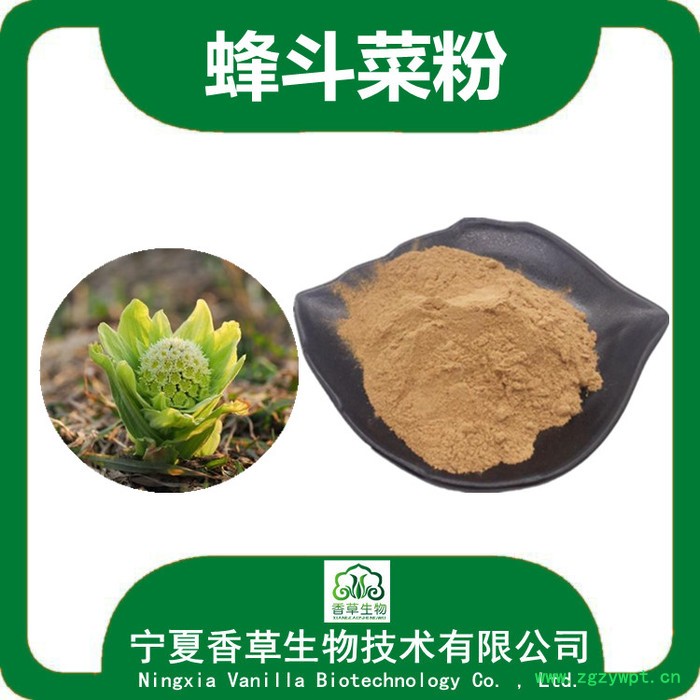 蜂斗菜提取物 宁夏厂家 蜂斗菜粉120目 蜂斗菜浓缩粉图7