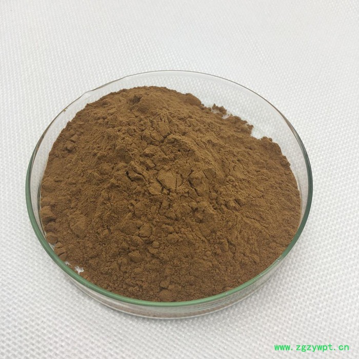 现货供应肉苁蓉提取物 肉苁蓉总皂苷80% 松果菊苷 麦角甾苷抗氧化延缓衰老欢饮咨询订购图4