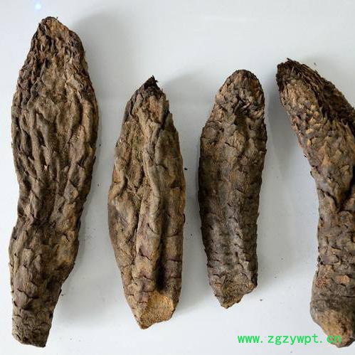 现货供应肉苁蓉提取物 肉苁蓉总皂苷80% 松果菊苷 麦角甾苷抗氧化延缓衰老欢饮咨询订购图2