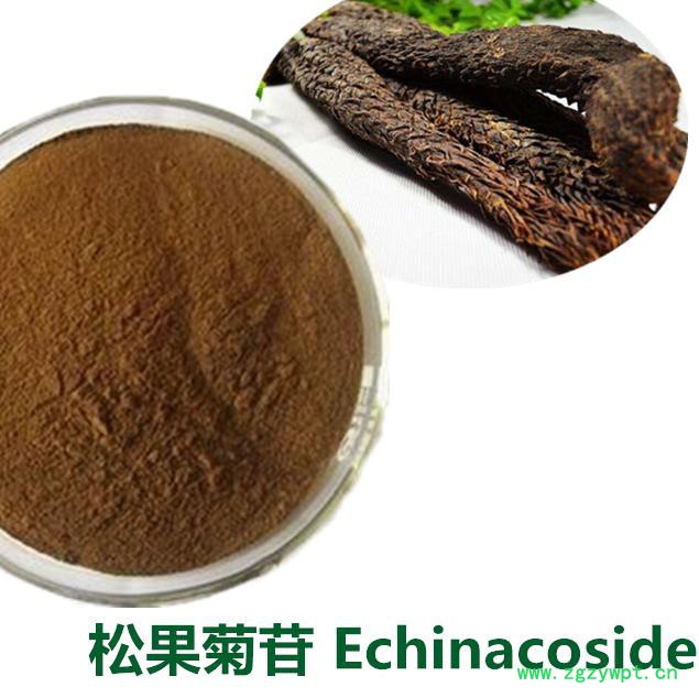 现货供应肉苁蓉提取物 肉苁蓉总皂苷80% 松果菊苷 麦角甾苷抗氧化延缓衰老欢饮咨询订购图5
