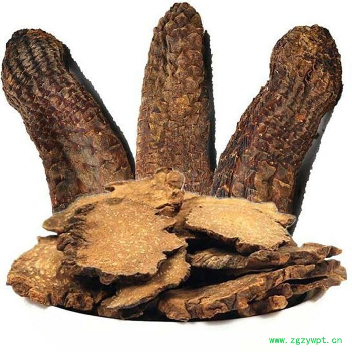 现货供应肉苁蓉提取物 肉苁蓉总皂苷80% 松果菊苷 麦角甾苷抗氧化延缓衰老欢饮咨询订购图3