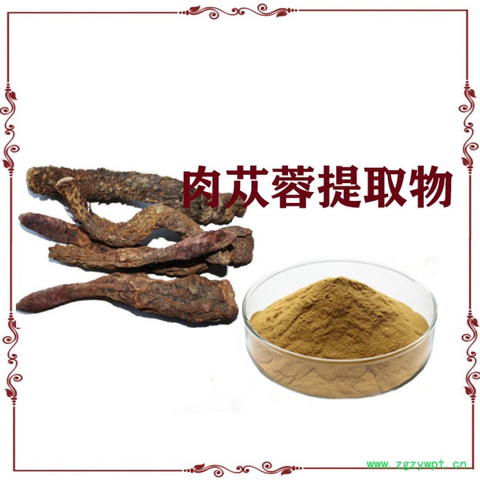 肉苁蓉提取物  10:1 肉苁蓉粉  现货供应图4