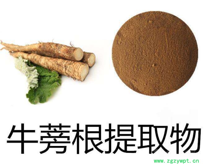 牛蒡根提取物 植物提取物 陕西华实生物 sc厂家直供图3