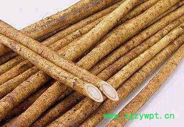 牛蒡根提取物 植物提取物 陕西华实生物 sc厂家直供图2