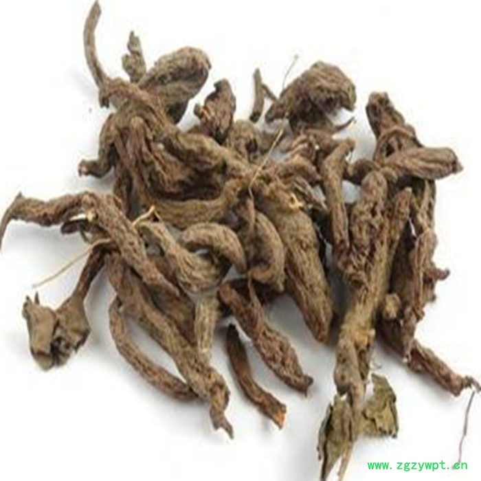 斯诺特 大戟喷雾干燥粉 大戟浸膏粉 植物提取物 生产厂家图7