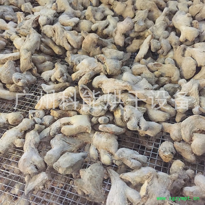 沙姜片烘干机图2