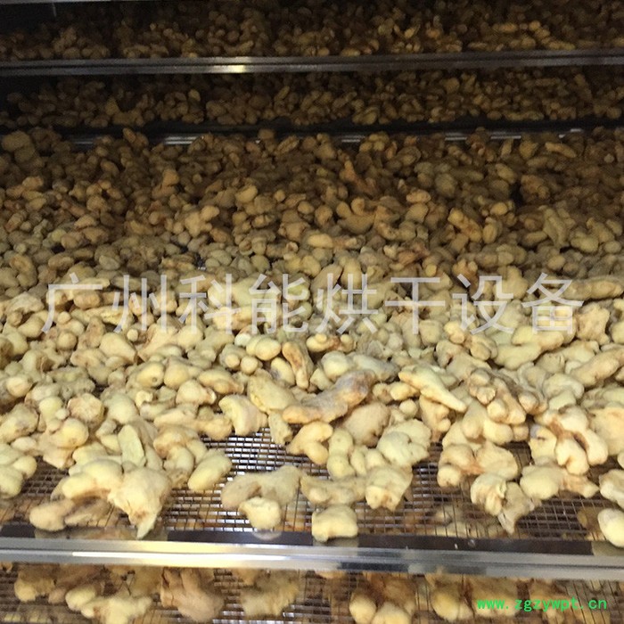 沙姜片烘干机图4