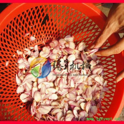 腾昇**多功能切菜机 红葱切片机 台湾进口红葱 沙姜 大蒜头切片机 切红葱机