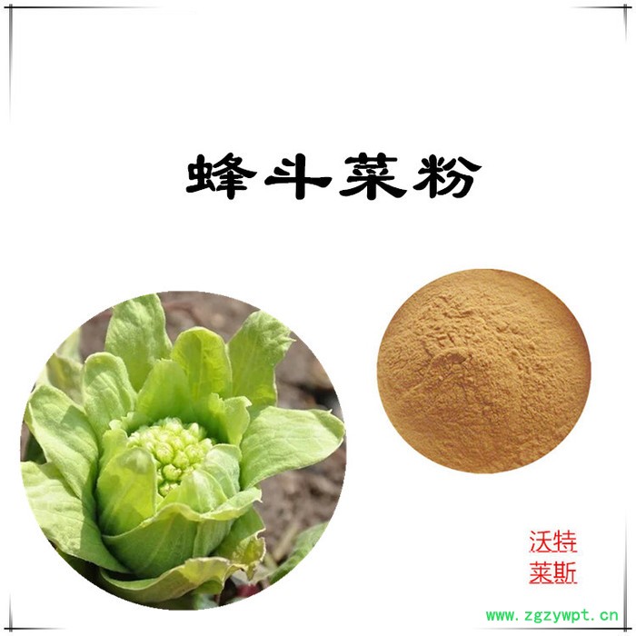 沃特莱斯 蜂斗菜提取物10:1  速溶蜂斗菜粉图6