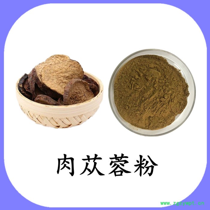 肉苁蓉粉 可定制 六盘韵 水溶图5