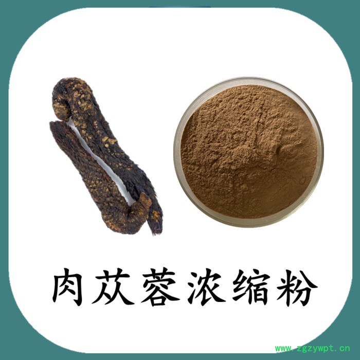 肉苁蓉粉 可定制 六盘韵 水溶图3