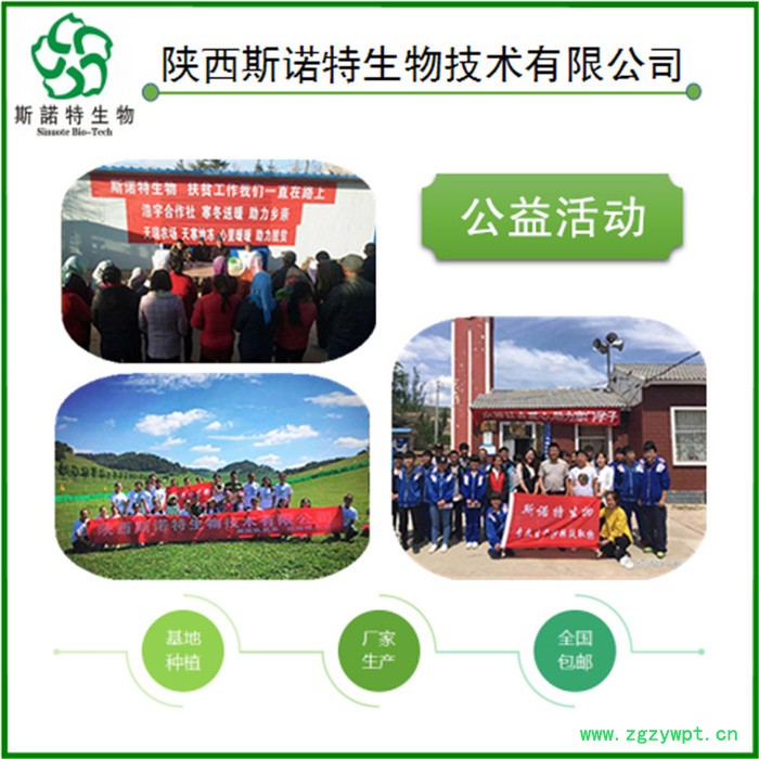 牛蒡根提取物  牛蒡根多糖图2