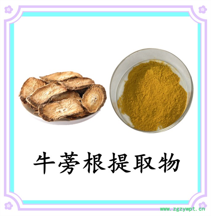 牛蒡根浓缩粉 水溶 六盘韵  可定制 全国包邮图2