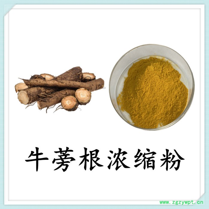 牛蒡根浓缩粉 水溶 六盘韵  可定制 全国包邮图4