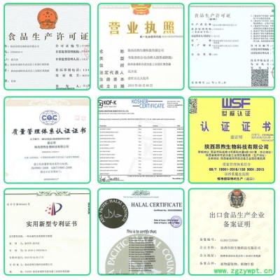 肉苁蓉粉生产厂家肉苁蓉纯粉 现货批发   肉苁蓉提取物