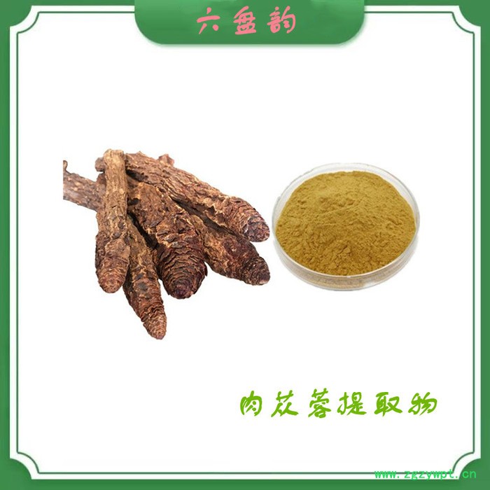 肉苁蓉提取物 厂家供应 水溶性肉苁蓉粉图2