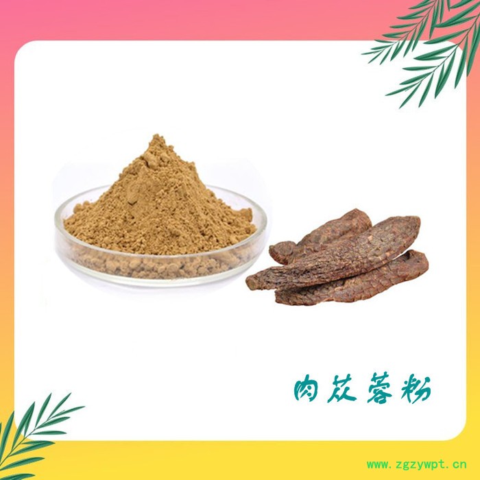 肉苁蓉提取物 厂家供应 水溶性肉苁蓉粉图3