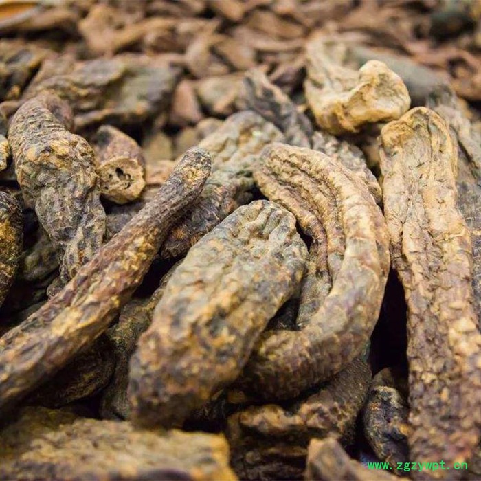 肉苁蓉烘干机 全封闭式中药材烘干设备厂家 科能KN-145RD图5