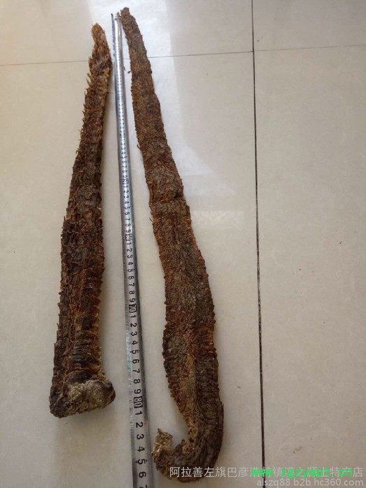 阿拉善肉苁蓉 油苁蓉 价格 肉苁蓉价格 肉苁蓉功效和作用图3