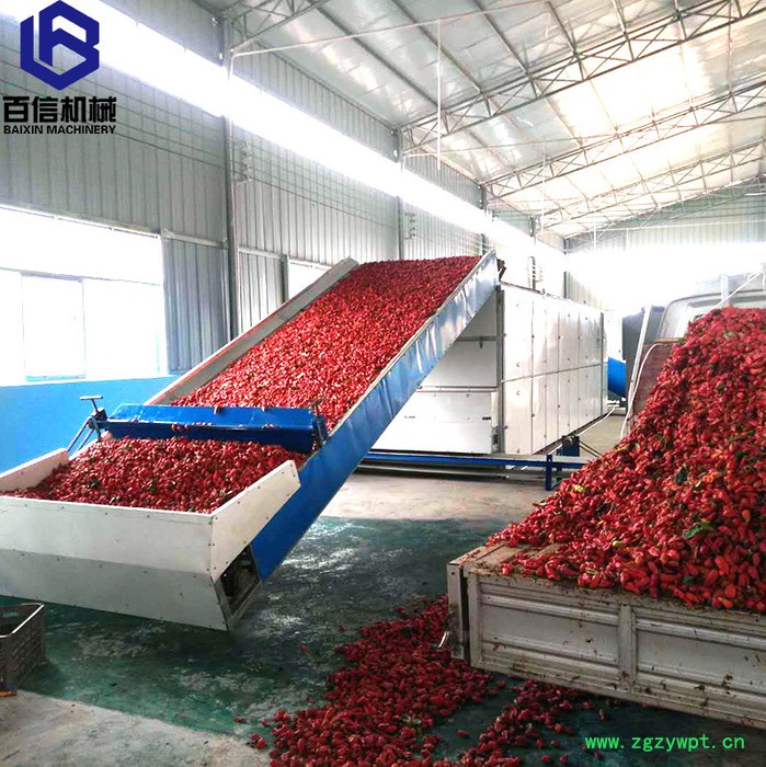 河南百信多层带冬虫夏草烘干设备  大型冬虫夏草烘干机   连续式冬虫夏草脱水设备图4