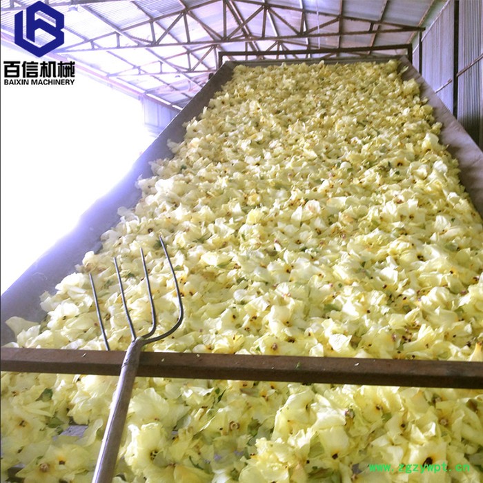 河南百信多层带冬虫夏草烘干设备  大型冬虫夏草烘干机   连续式冬虫夏草脱水设备图3