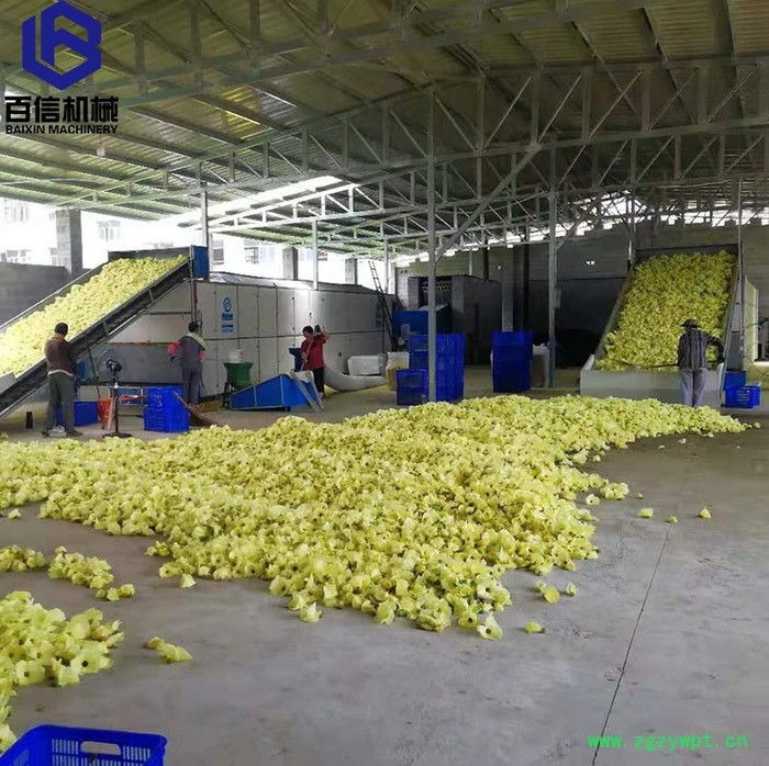 河南百信多层带冬虫夏草烘干设备  大型冬虫夏草烘干机   连续式冬虫夏草脱水设备图5