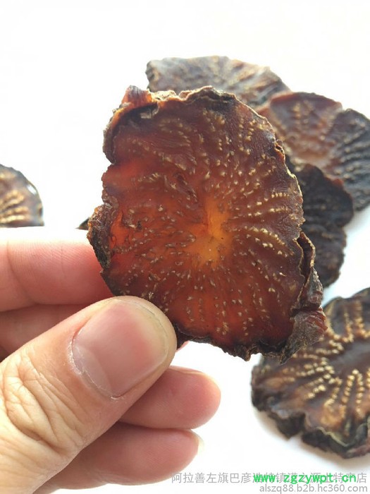 阿拉善肉苁蓉 肉苁蓉价格 肉苁蓉功效和作用肉苁蓉泡酒配方 肉苁蓉和油苁蓉怎么辨别图2