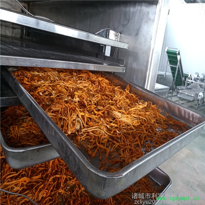 水果冷冻式干燥机 蛋黄真空冻干机 冬虫夏草冻干设备图2