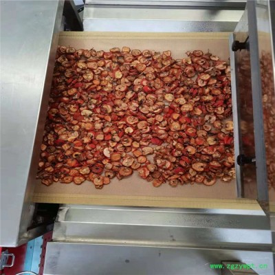 立威冬虫夏草烘干机 中药材干燥设备厂家