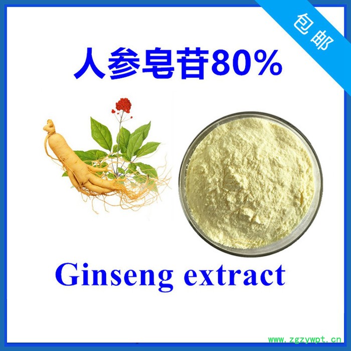 松果菊苷10% 管花肉苁蓉提取物 高含量 实力厂家 含税含运图4