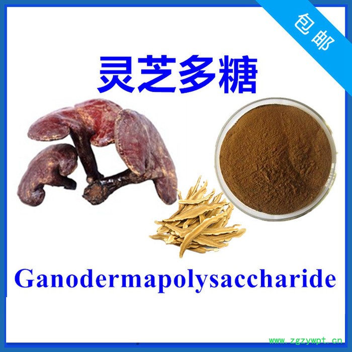 松果菊苷10% 管花肉苁蓉提取物 高含量 实力厂家 含税含运图2