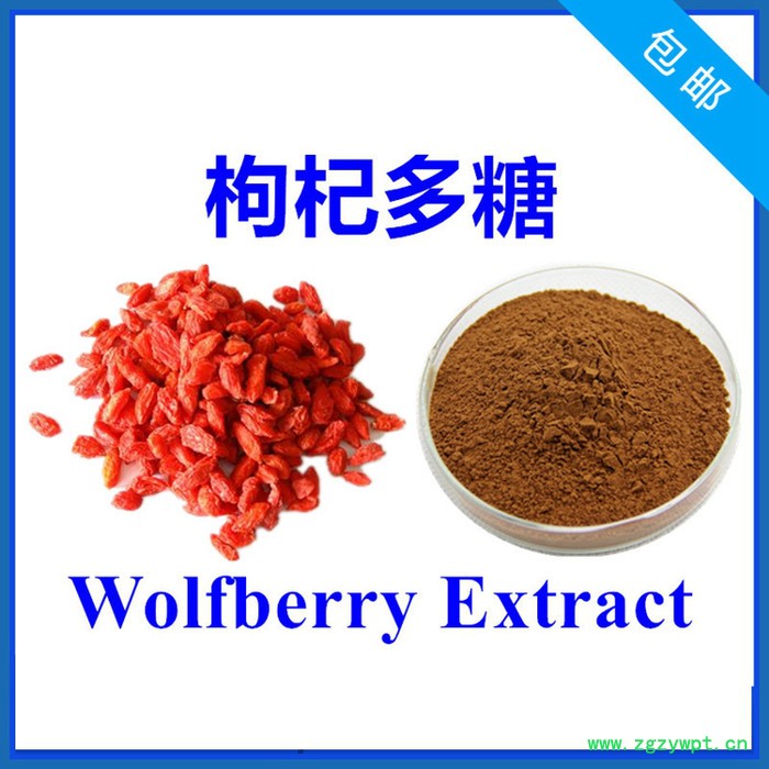 松果菊苷10% 管花肉苁蓉提取物 高含量 实力厂家 含税含运图3