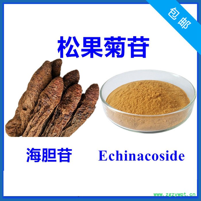 松果菊苷10% 管花肉苁蓉提取物 高含量 实力厂家 含税含运图8