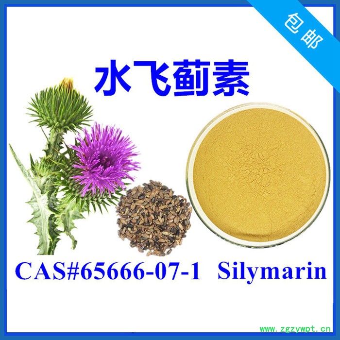 松果菊苷10% 管花肉苁蓉提取物 高含量 实力厂家 含税含运图5