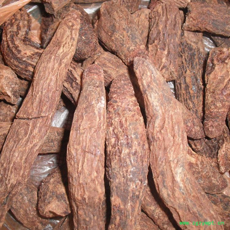 疏勒河蔚丰 产地直供 **锁阳 壮阳补肾 瓜州锁阳 肉苁蓉 补肾固阳益精