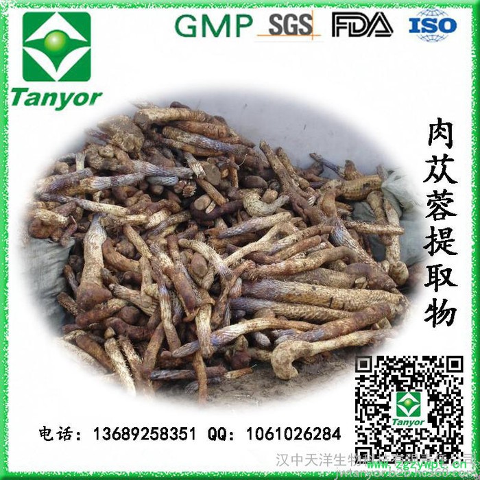 厂家直供肉苁蓉提取物图7