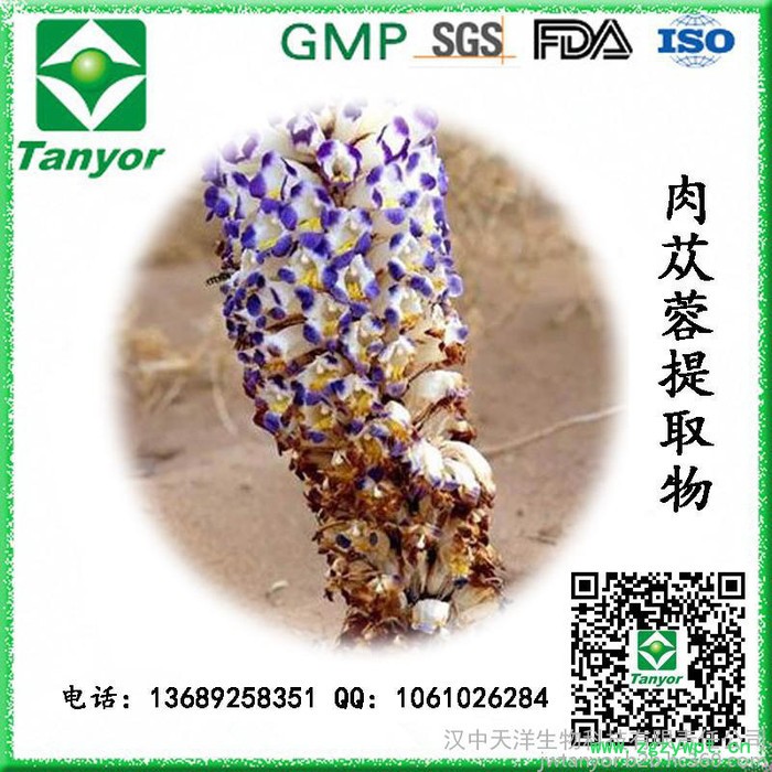 厂家直供肉苁蓉提取物图8