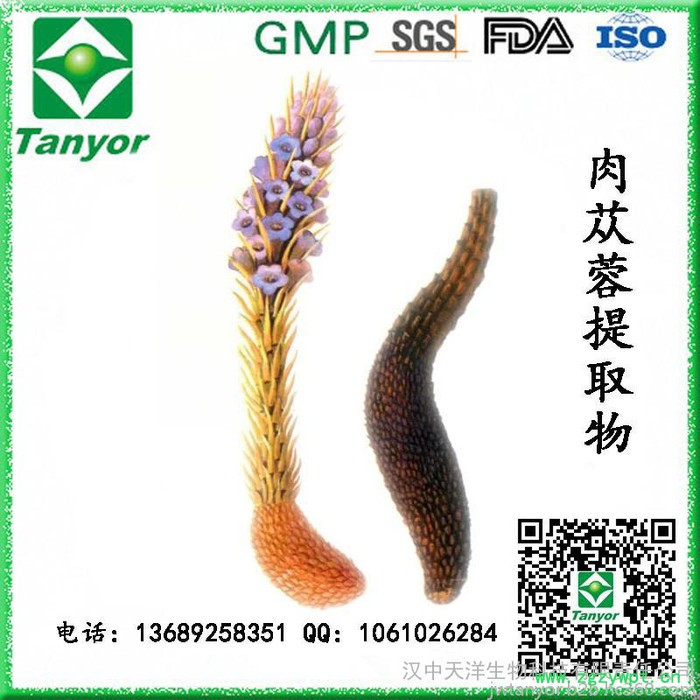 厂家直供肉苁蓉提取物图6