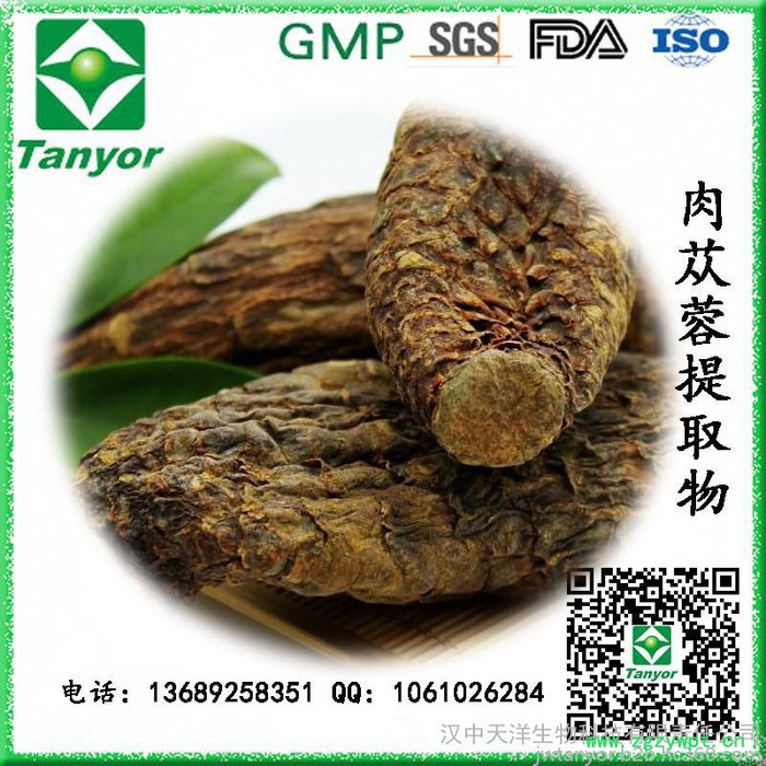 厂家直供肉苁蓉提取物图4