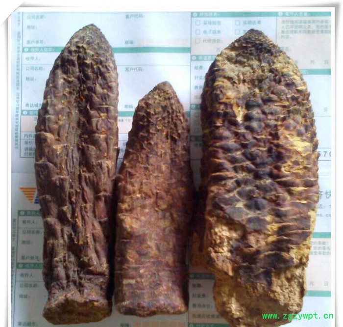 甘肃瓜州**肉苁蓉原生态补肾壮阳保健品泡酒滋补保养产地货源图2