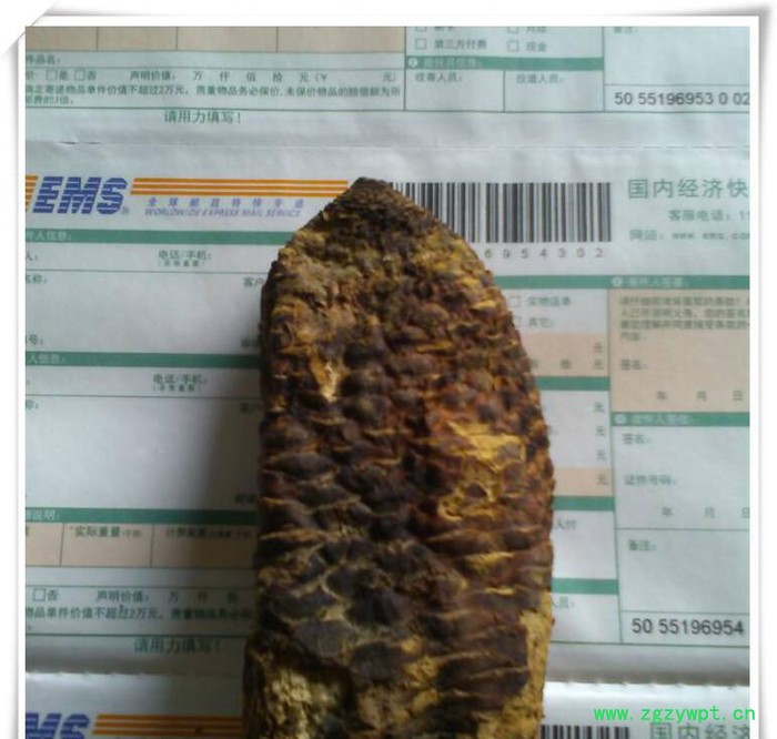 甘肃瓜州**肉苁蓉原生态补肾壮阳保健品泡酒滋补保养产地货源图3