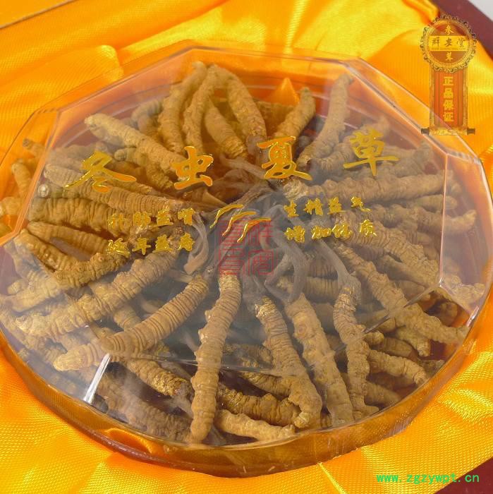 沈阳回收冬虫夏草  冬虫夏草各种规格免费上门回收图2